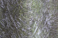 Sibsey fibreglass roof work